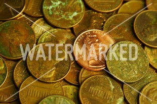 Automatically Watermark Photographs